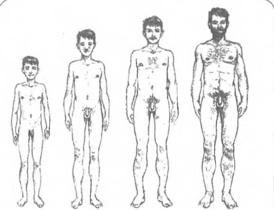 Velikost penisu v závislosti na věku